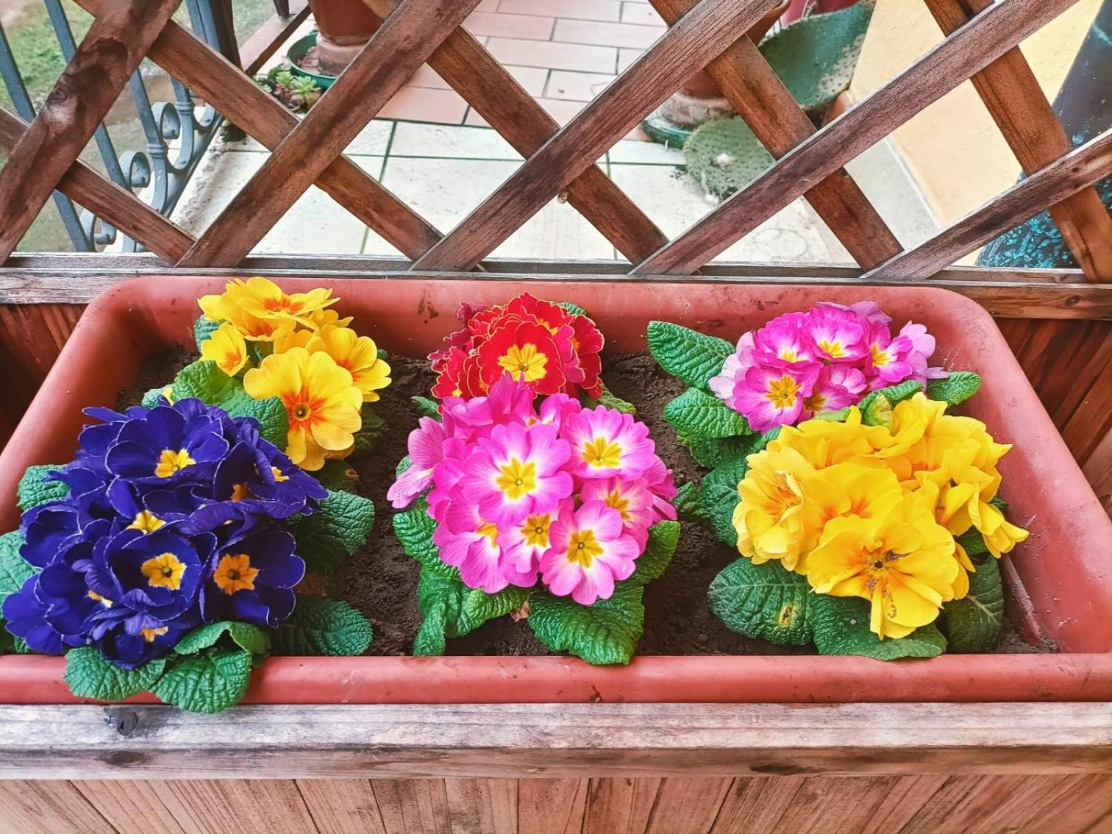 Le Colline Di Maggiora B&B Zewnętrze zdjęcie